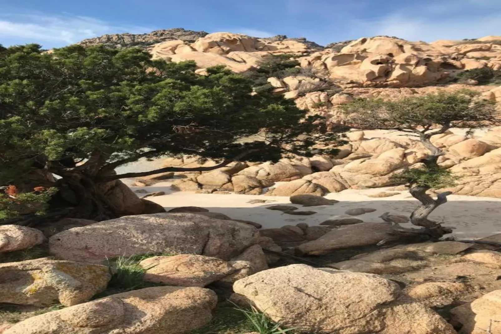 Bellavista 3 - Gebieden zomer 20km