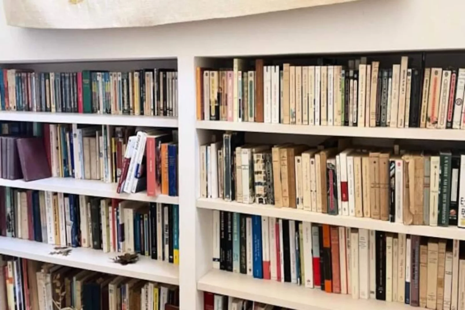 Résidence Un Jardin Au Bord De La M&eacute;diterran&eacute;e-Niet-getagd