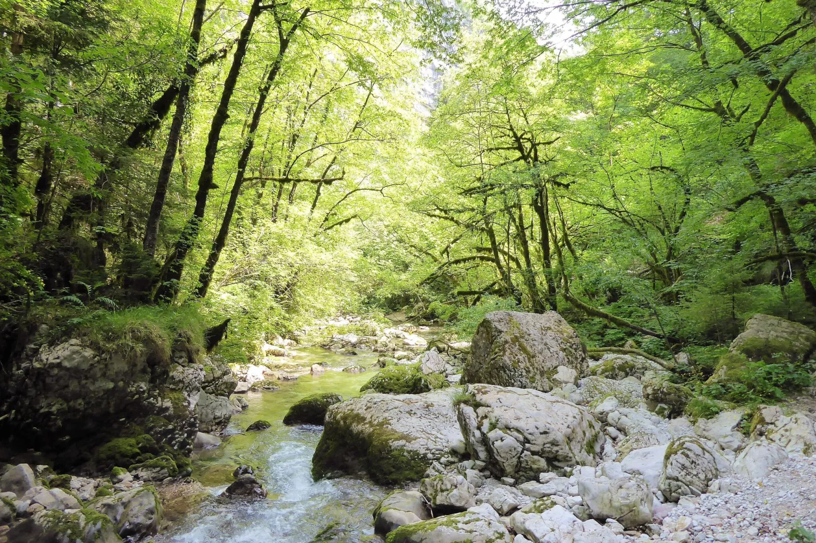 Appartamento Glera-Gebieden zomer 5km