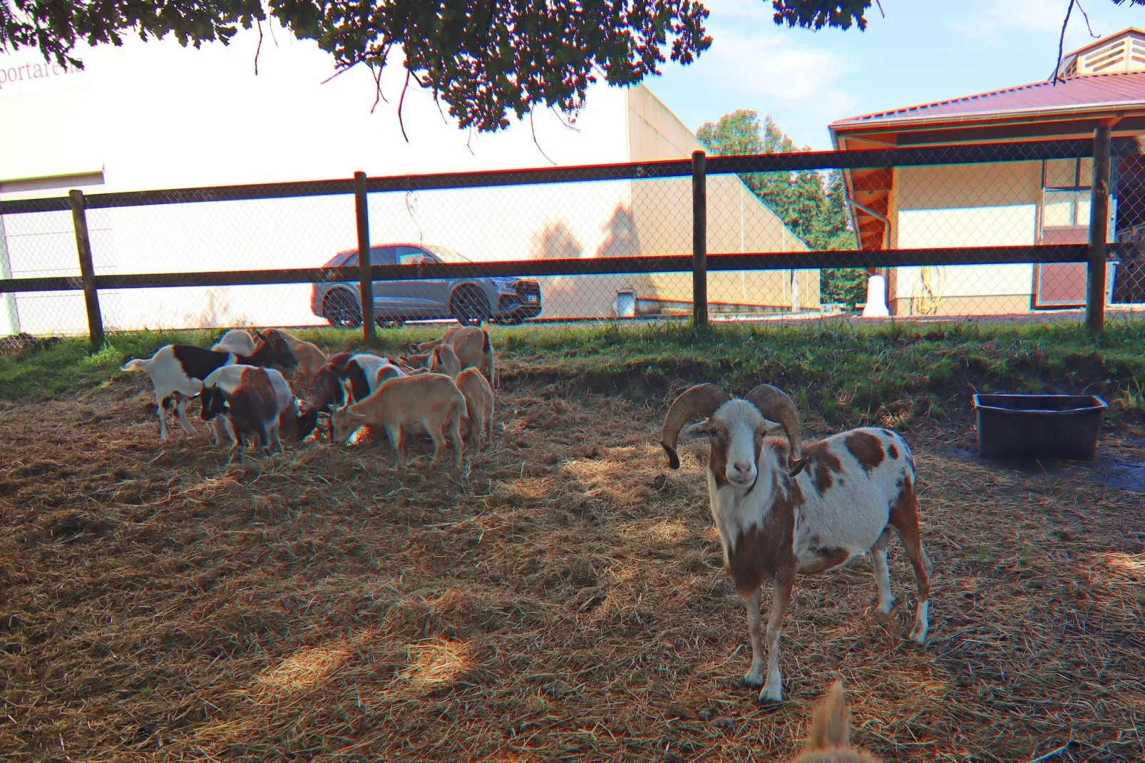 Haus Oliver 200 qm / 1-4 Personen-Tuinen zomer