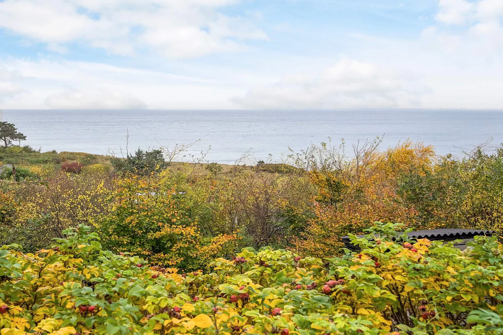 Sfeervolle huisje in de natuur -- By Traum Ferienwohnungen-Uitzicht