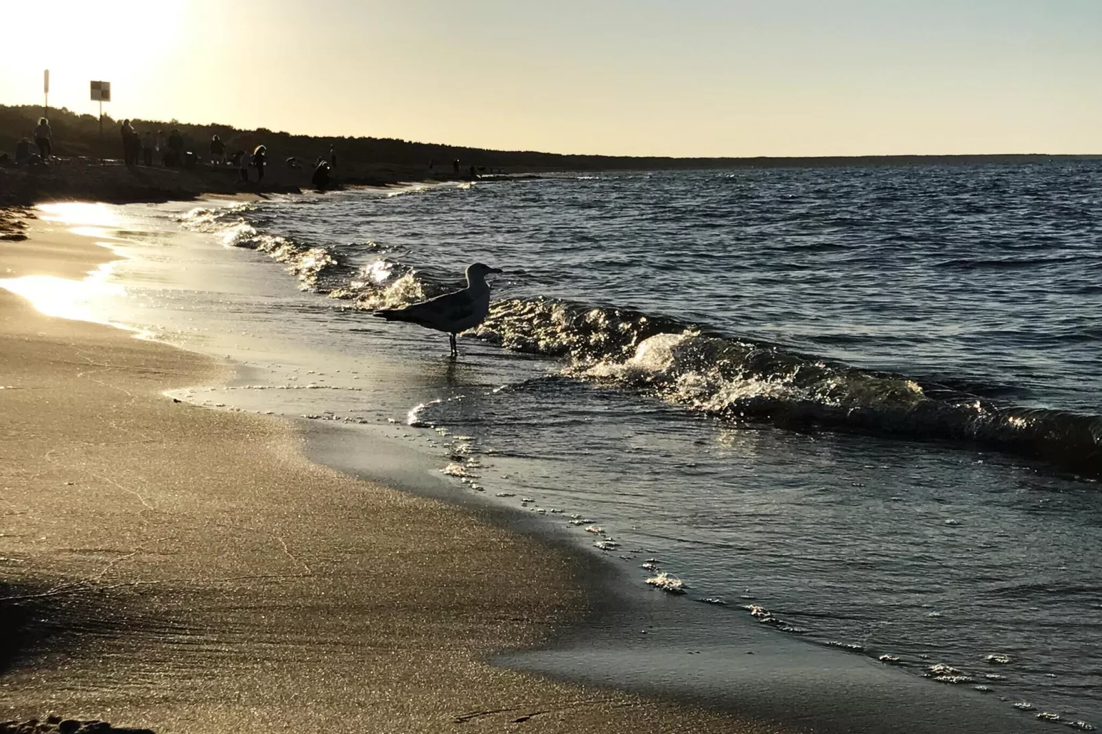 EG Links Haus 4 Nr 9-Image-tags.water view