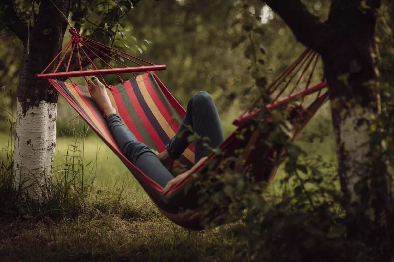 Pokój 3-osobowy na poddaszu Sarbinowo-Tuinen zomer