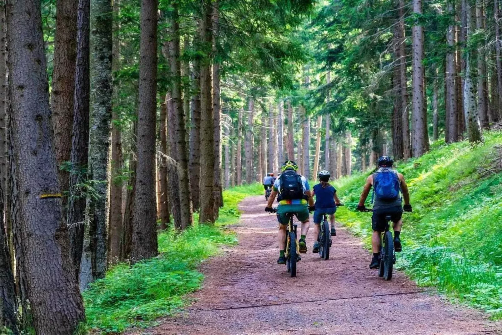 Pokój 3-osobowy na poddaszu Sarbinowo-Gebieden zomer 1km