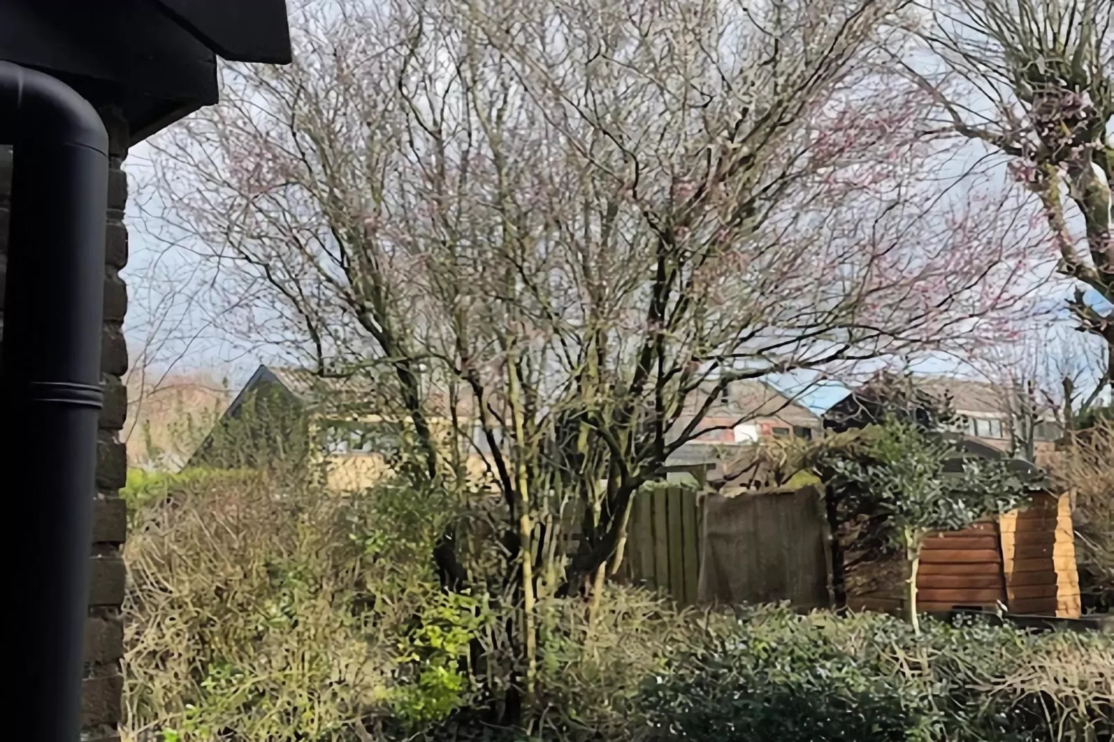 De Reker Zon - Tuinen zomer