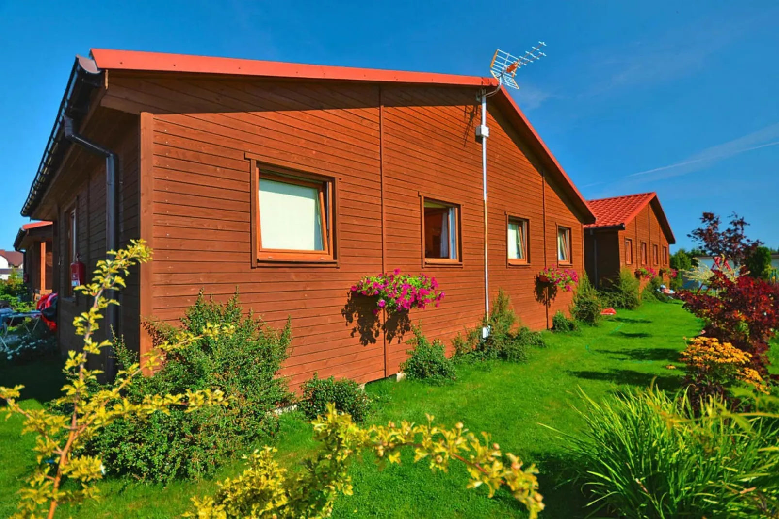 Domki wakacyjne Wicie - Buitenkant zomer