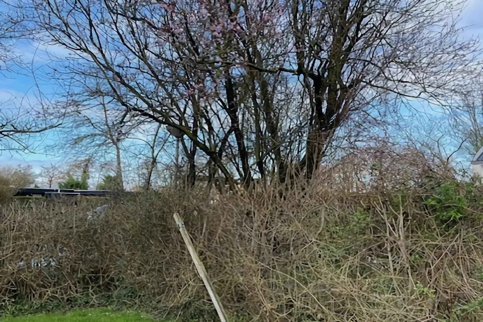 De Reker Zon - Tuinen zomer