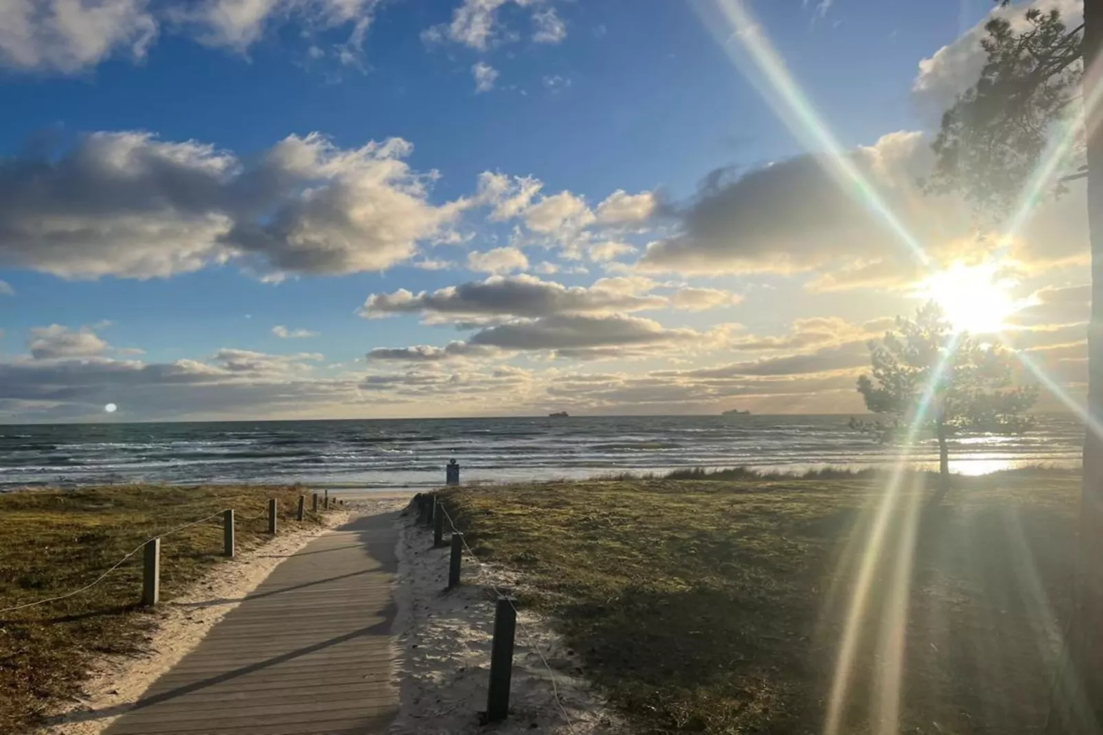 IFA Binz-1 Raum App 25 qm-Gebieden zomer 5km