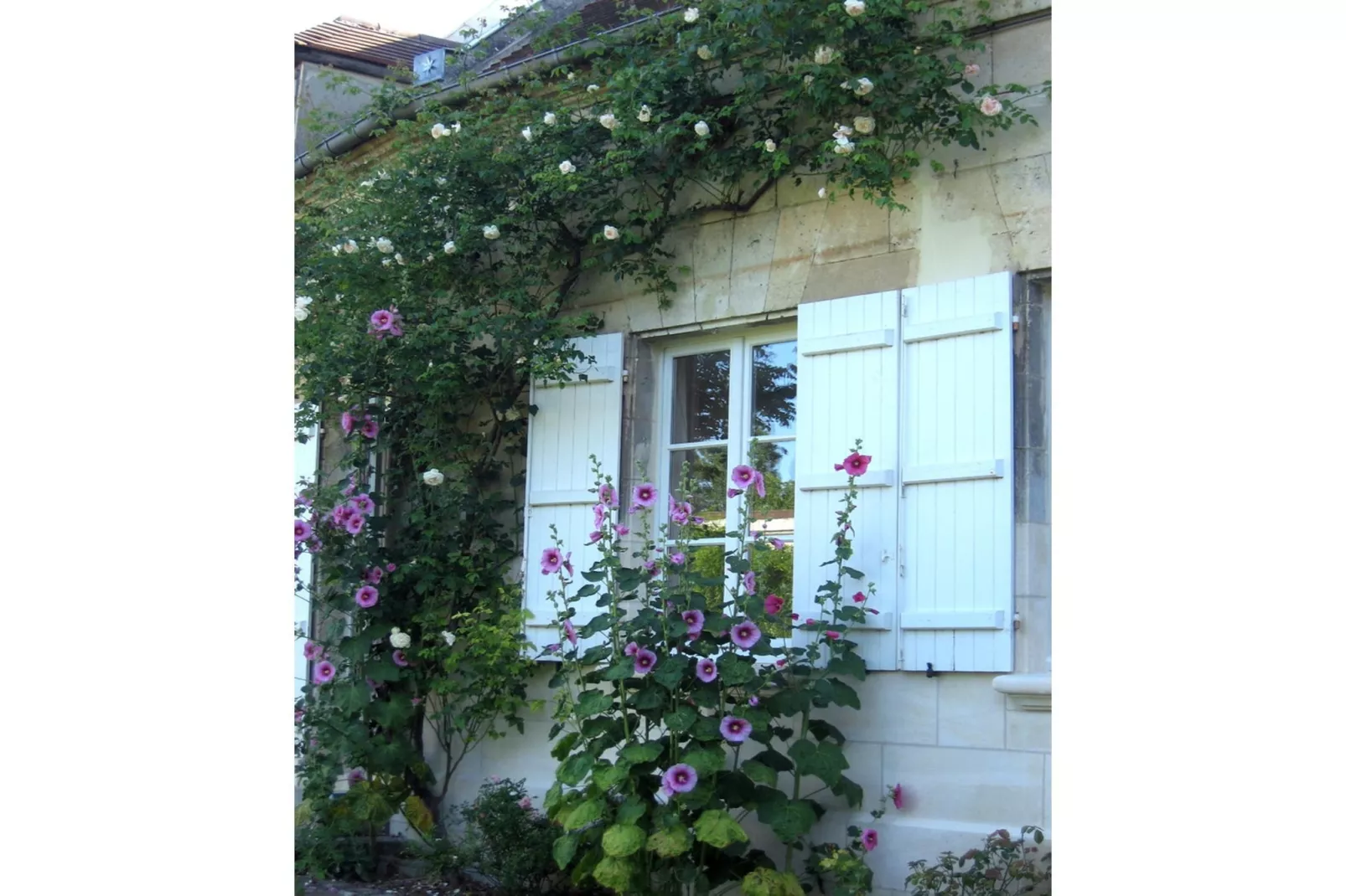 Gîte Saint Amand-Buitenkant zomer