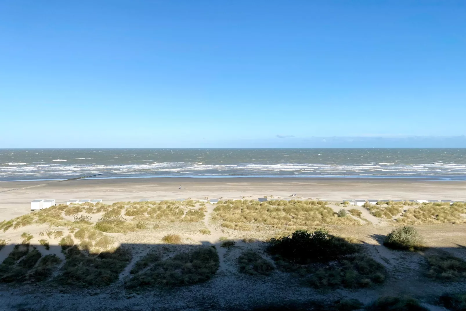 Zeedijk 63-Gebieden zomer 1km