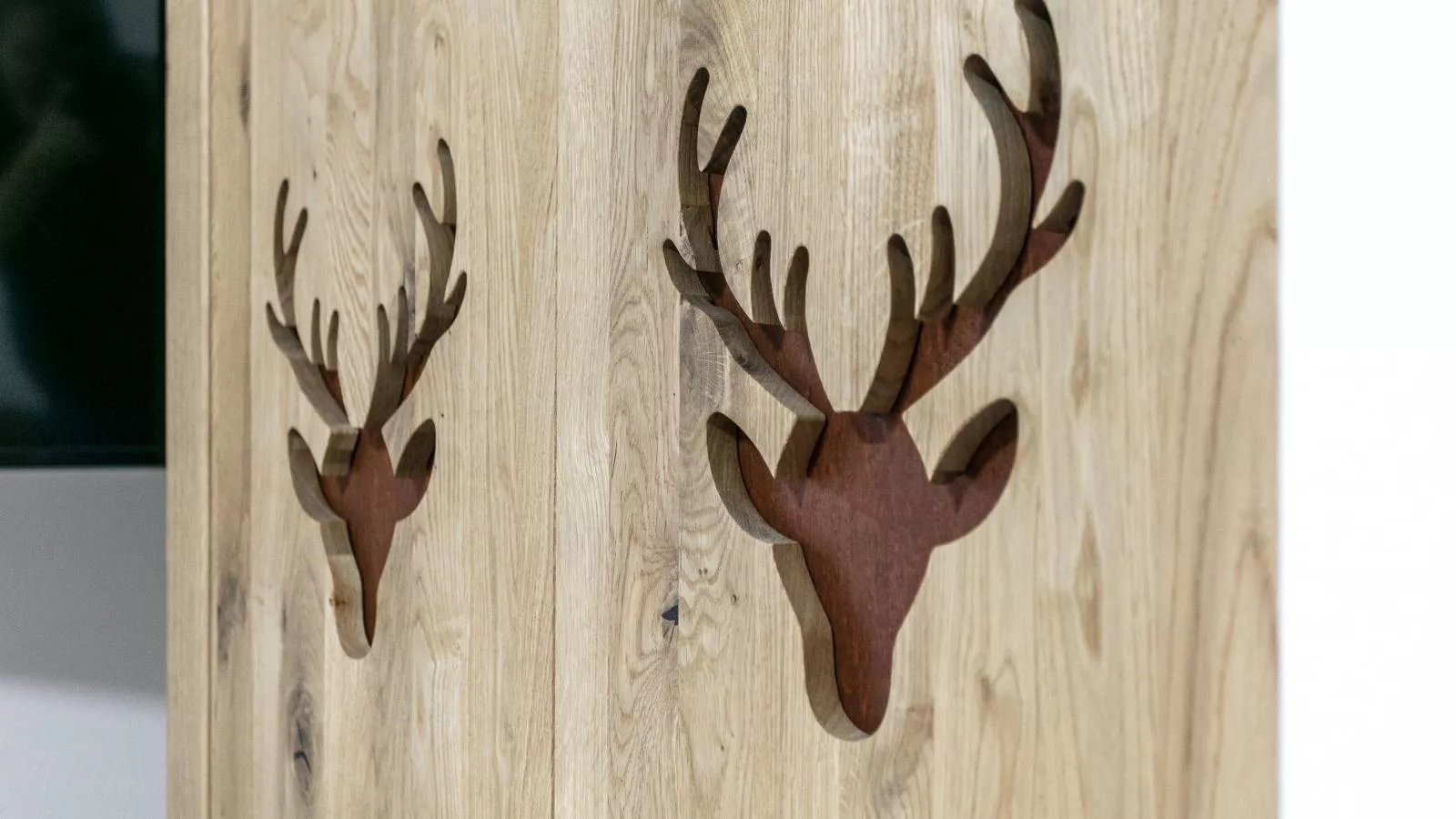 Tauernlodge Eben D3 - Sfeer