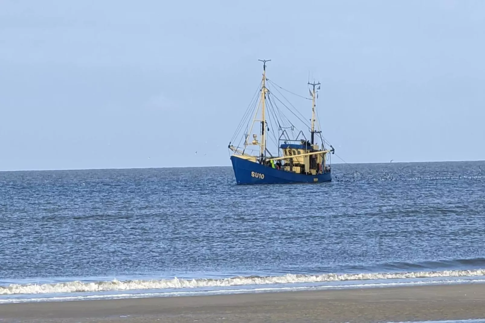 Anleger 157 - Gebieden zomer 1km