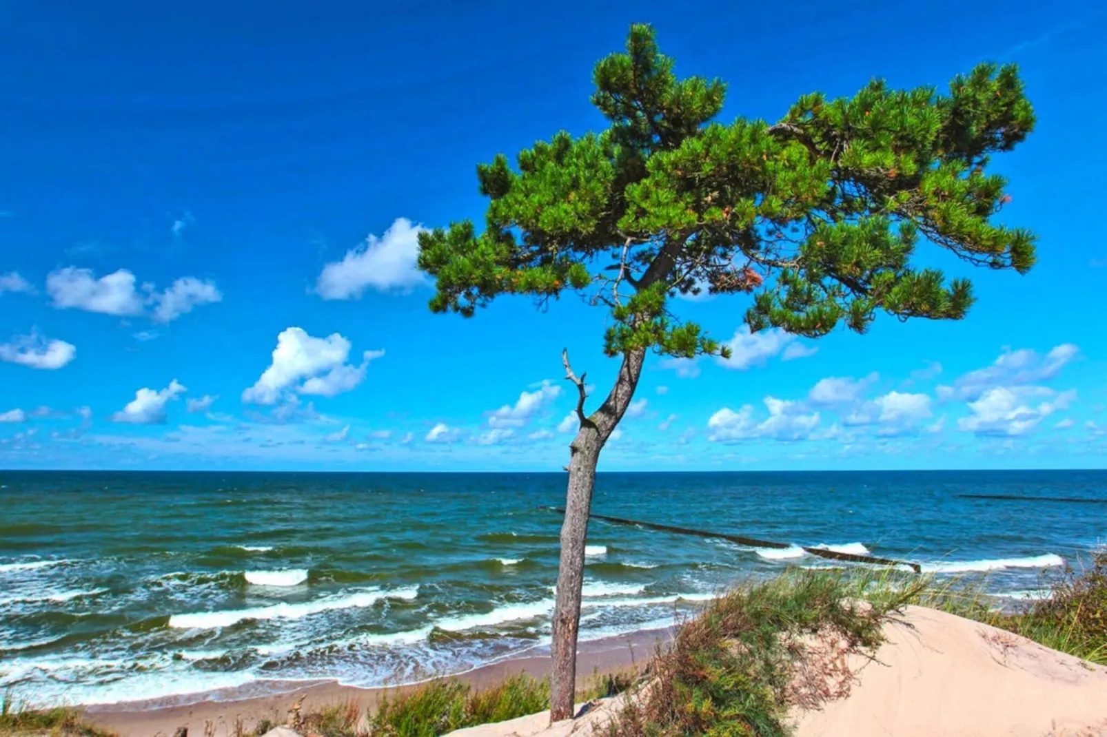 Domki wakacyjne Wicie - Uitzicht