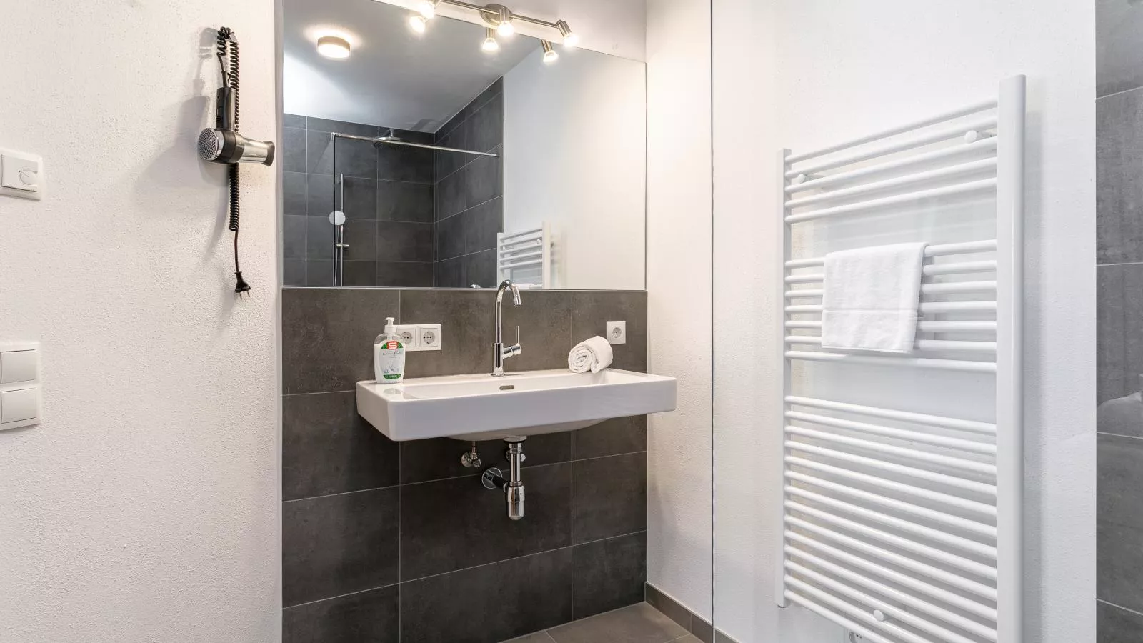 Tauernlodge Eben A2 - Badkamer