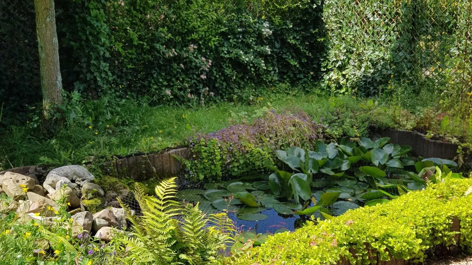 Bungalow Sonnerust - Tuinen zomer