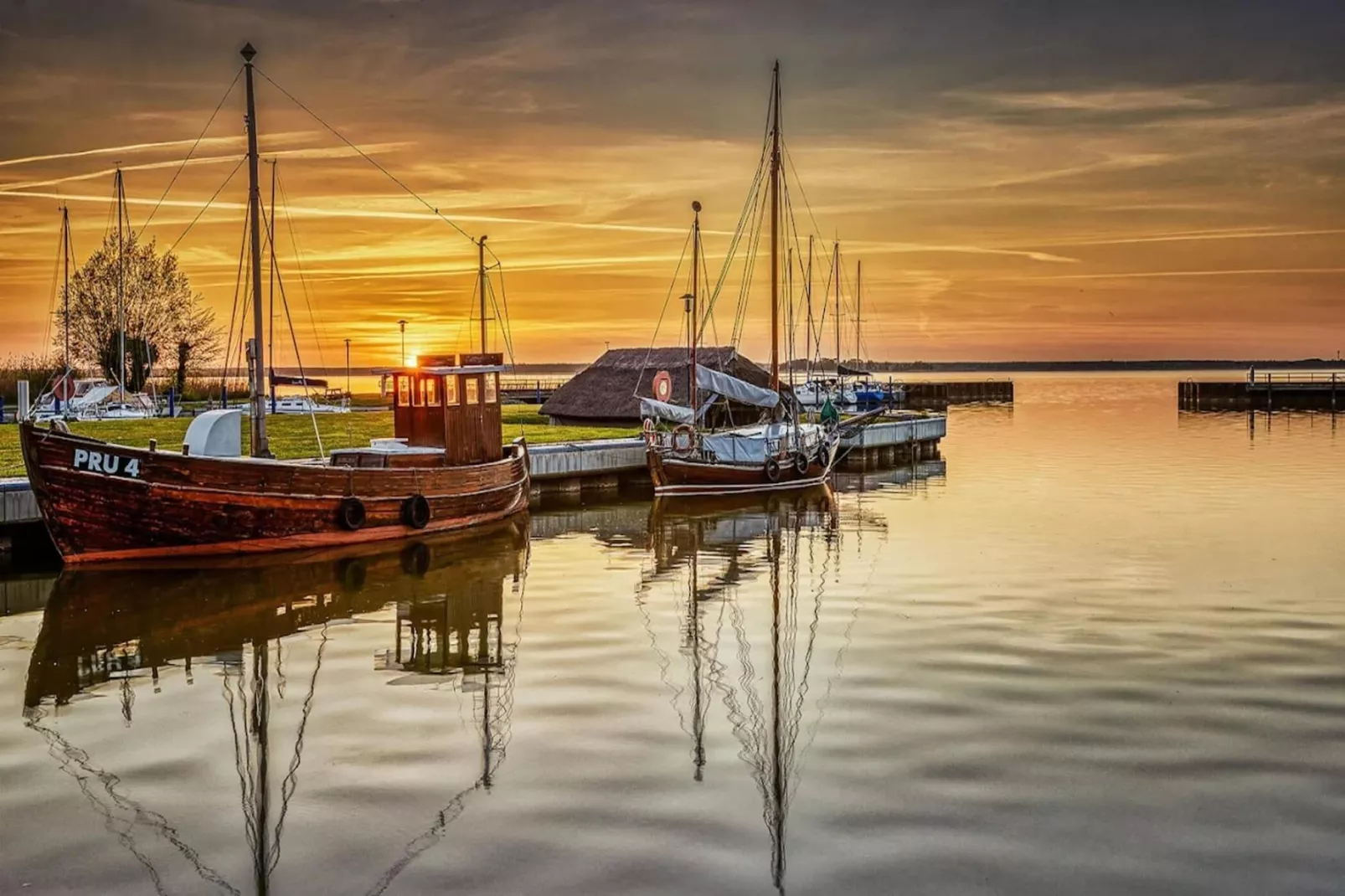 Schilfrohrsänger 26-Image-tags.water view