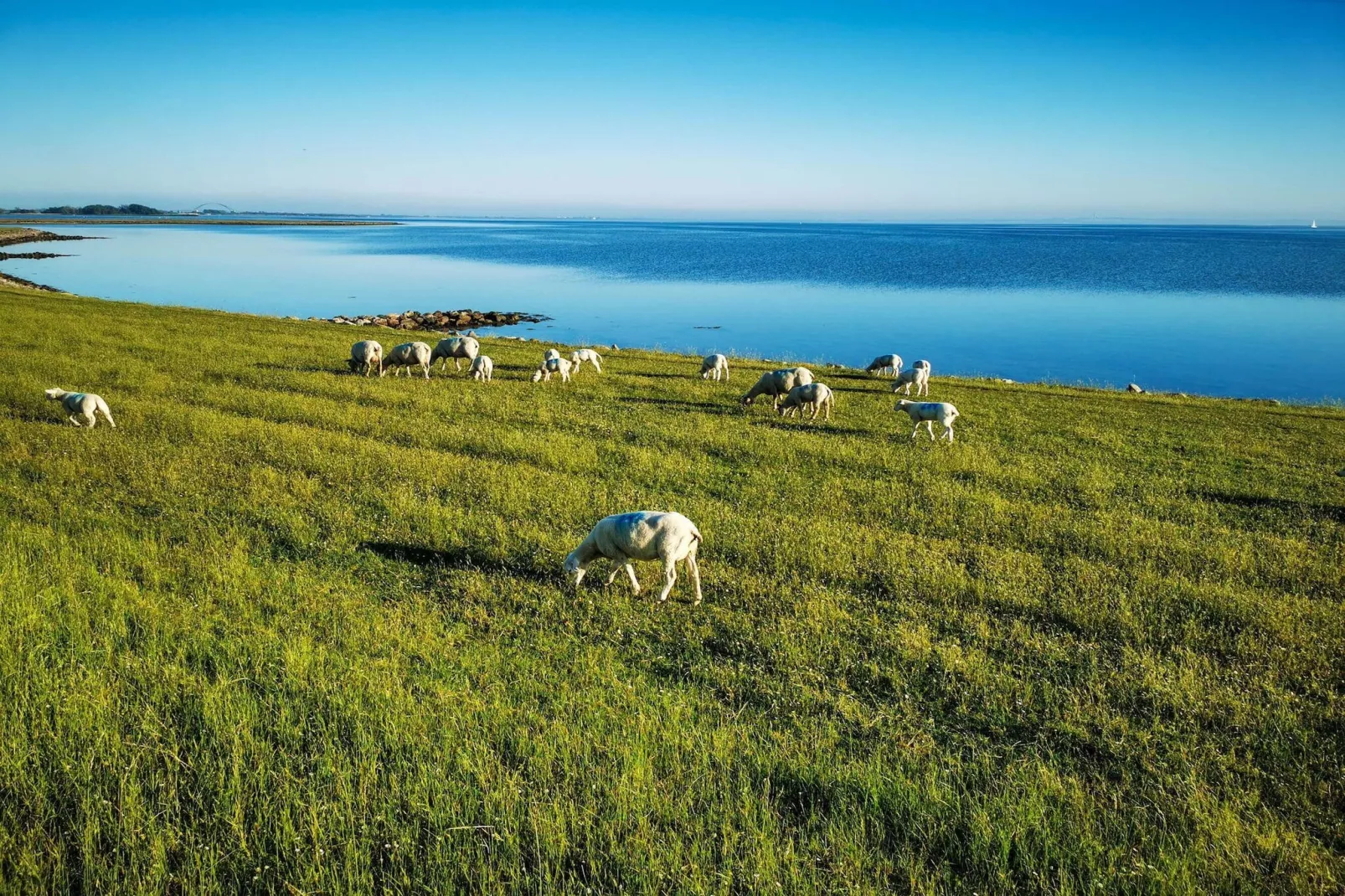 Haus am Meer - Image-tags.water view