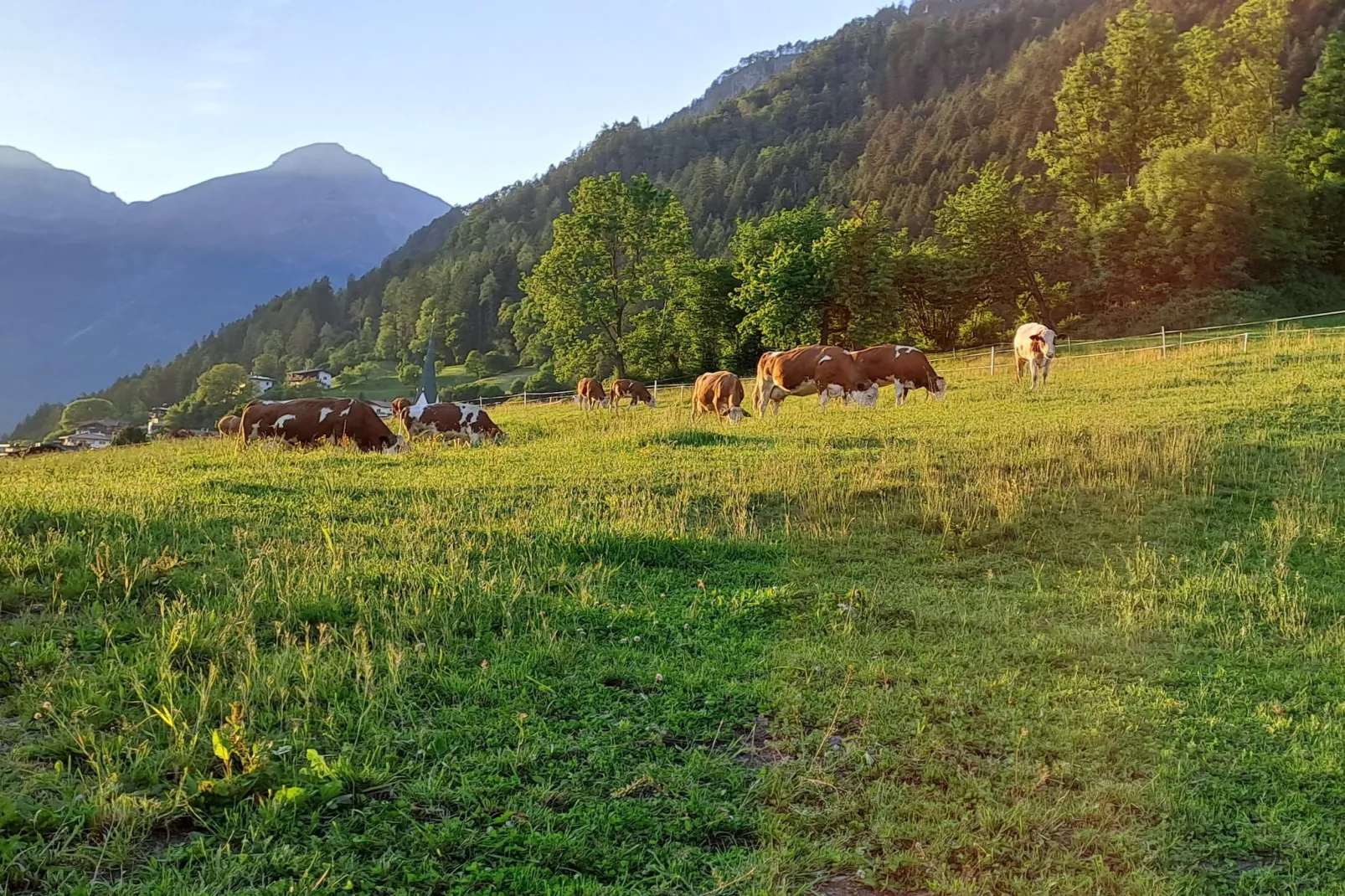 Chalet Anna-Gebieden zomer 1km