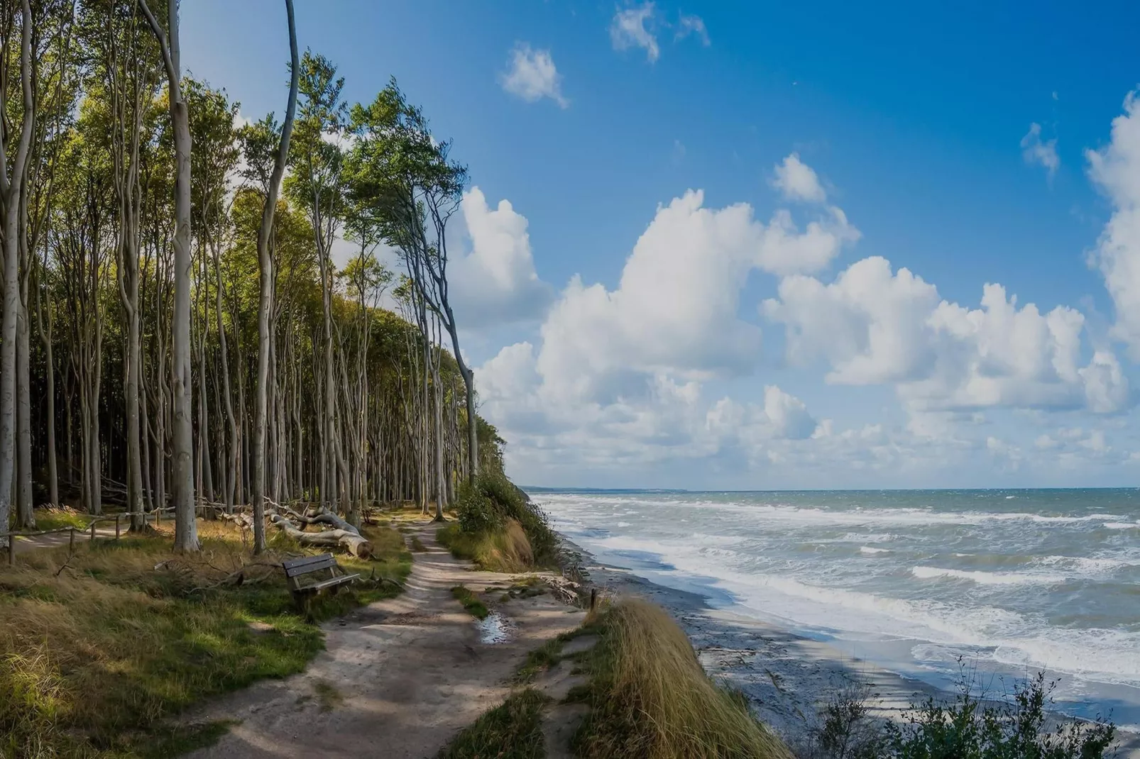 Apartament wakacyjny Sarbinowo - Gebieden zomer 5km