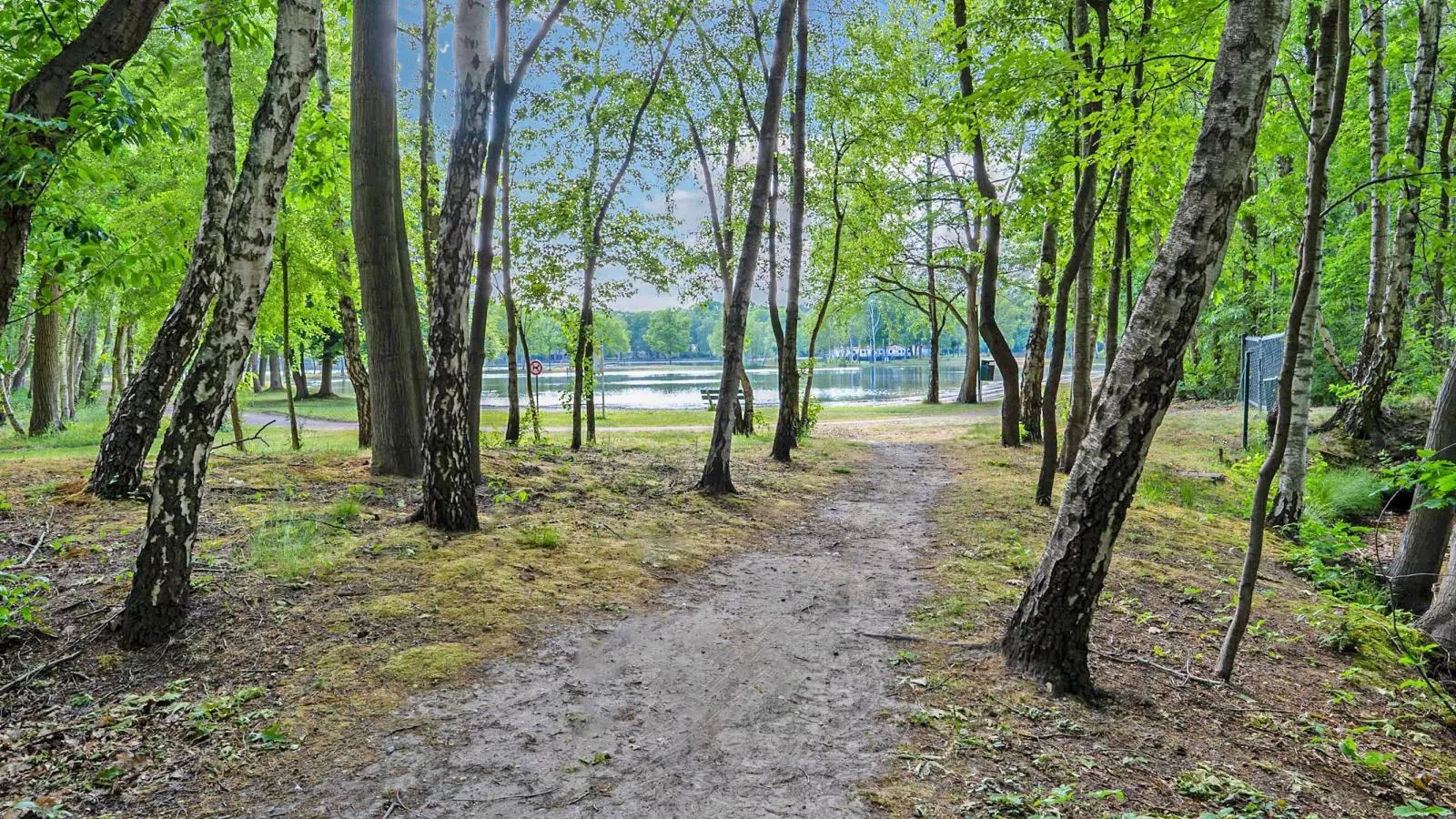 Bungalow Sonnerust - Gebieden zomer 1km