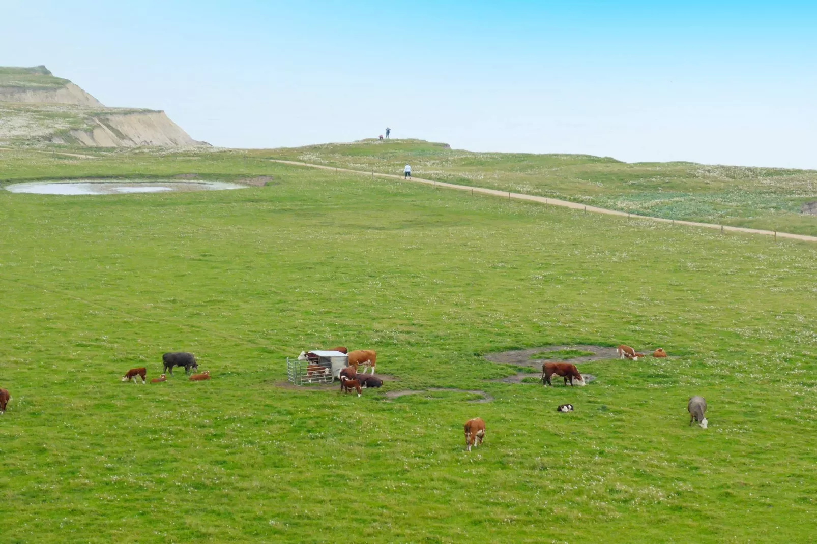 6 persoons vakantie huis in Lemvig-Uitzicht