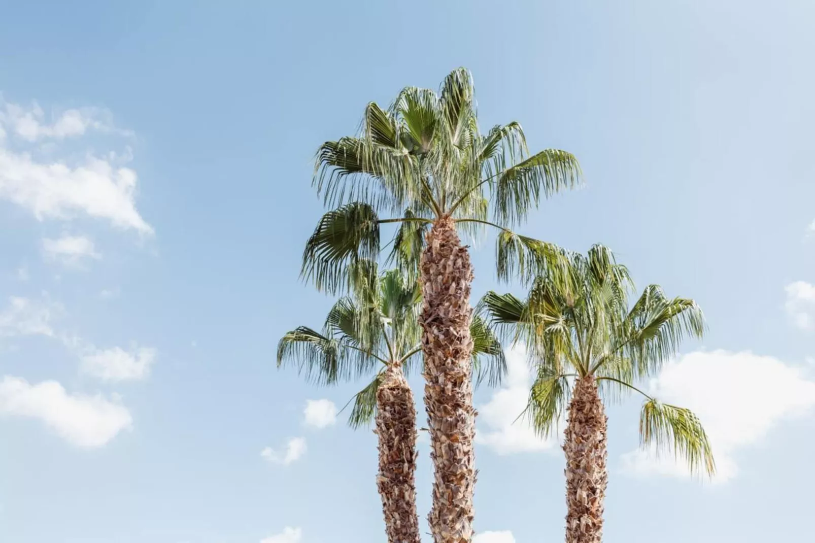 Apartamentos Puerto Salado - 1 Dormitorio 3 PAX-Uitzicht