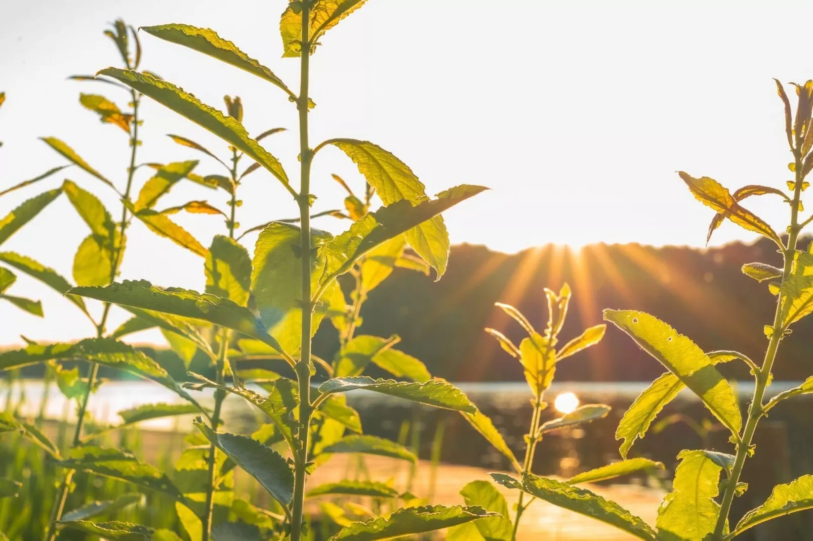 Poolhaus 140 qm - Sfeer