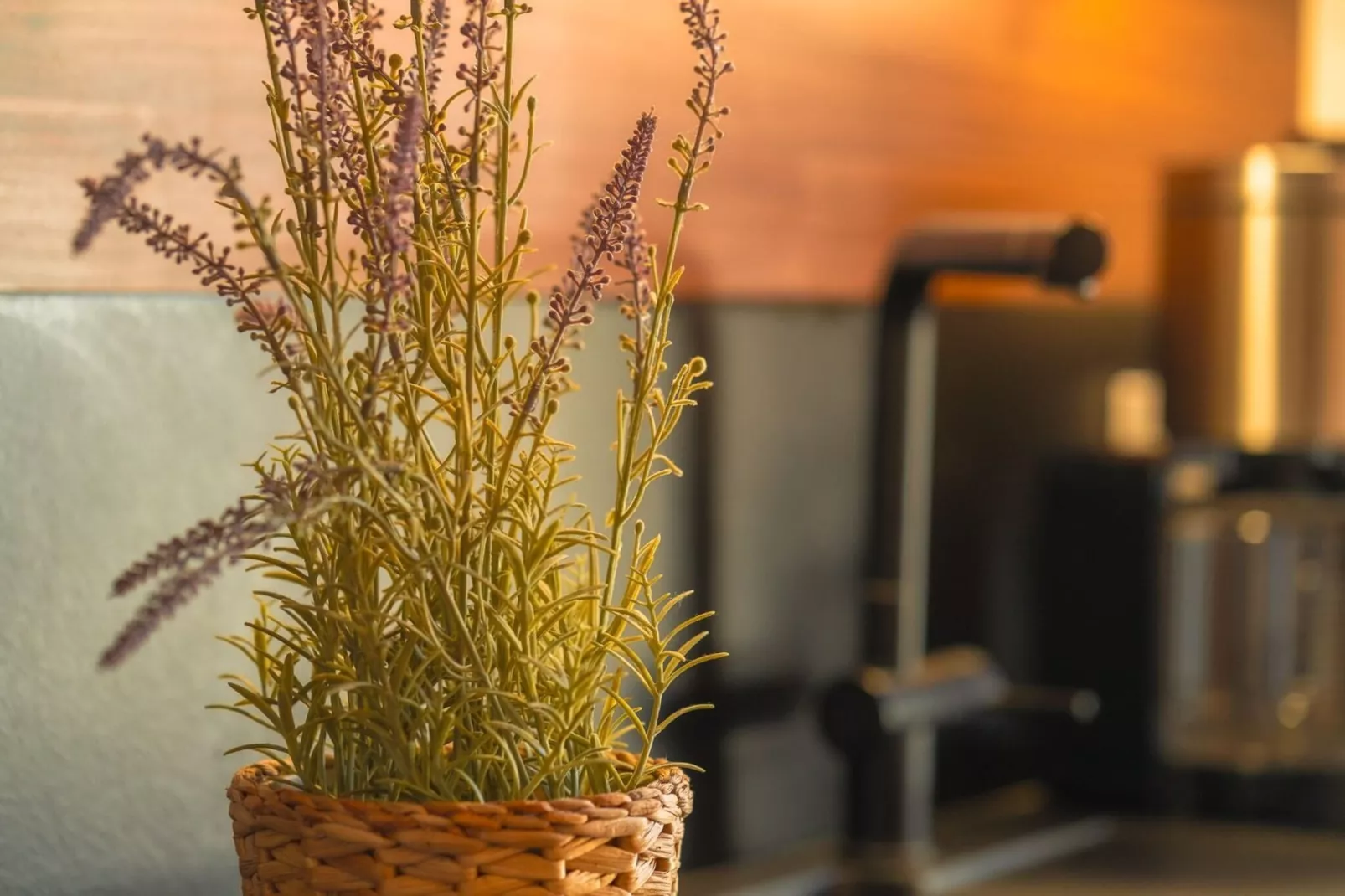 Poolhaus 140 qm - Sfeer