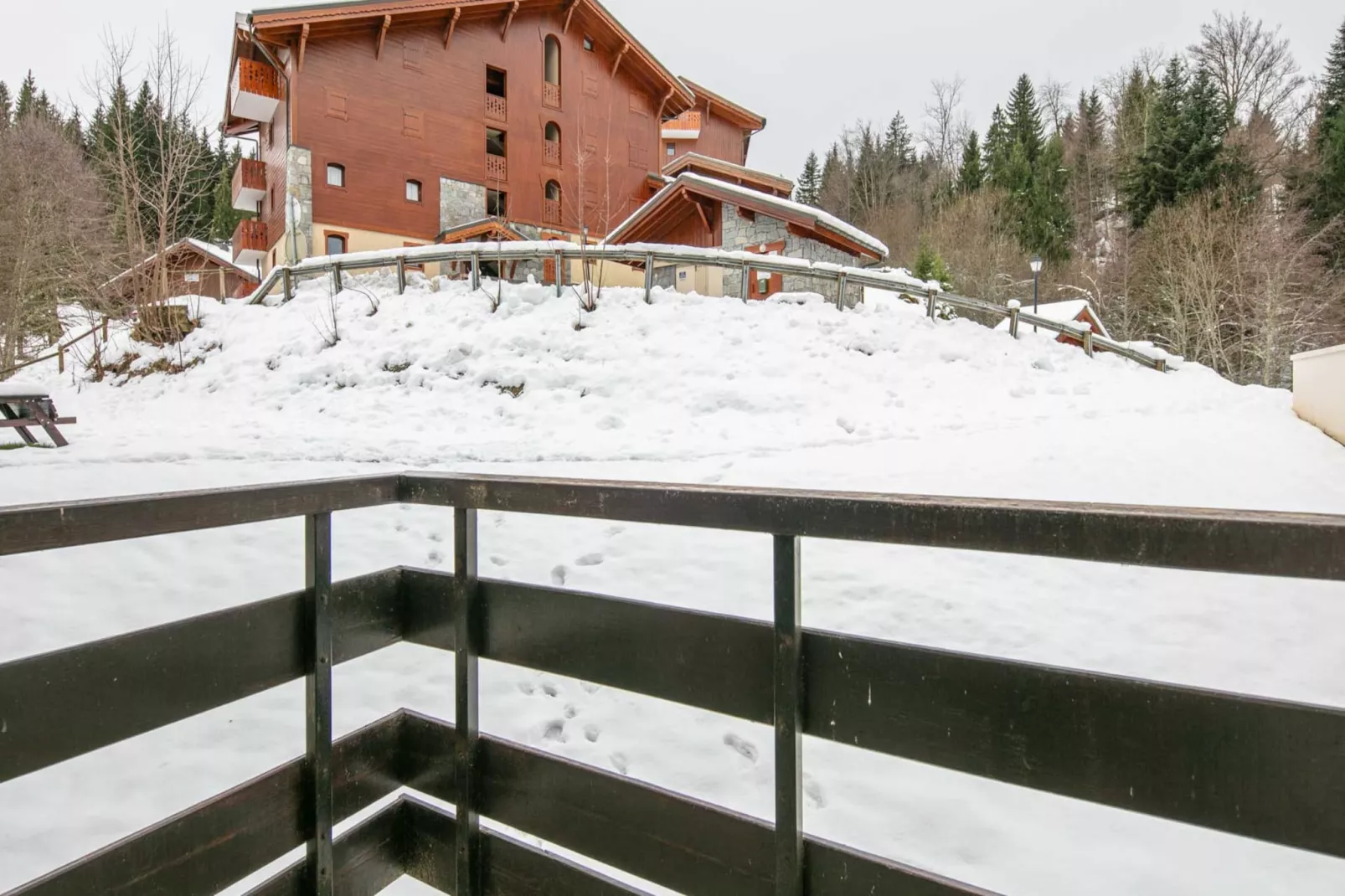 Grand Tetras N°111 - 2P6-Gebied winter 1km