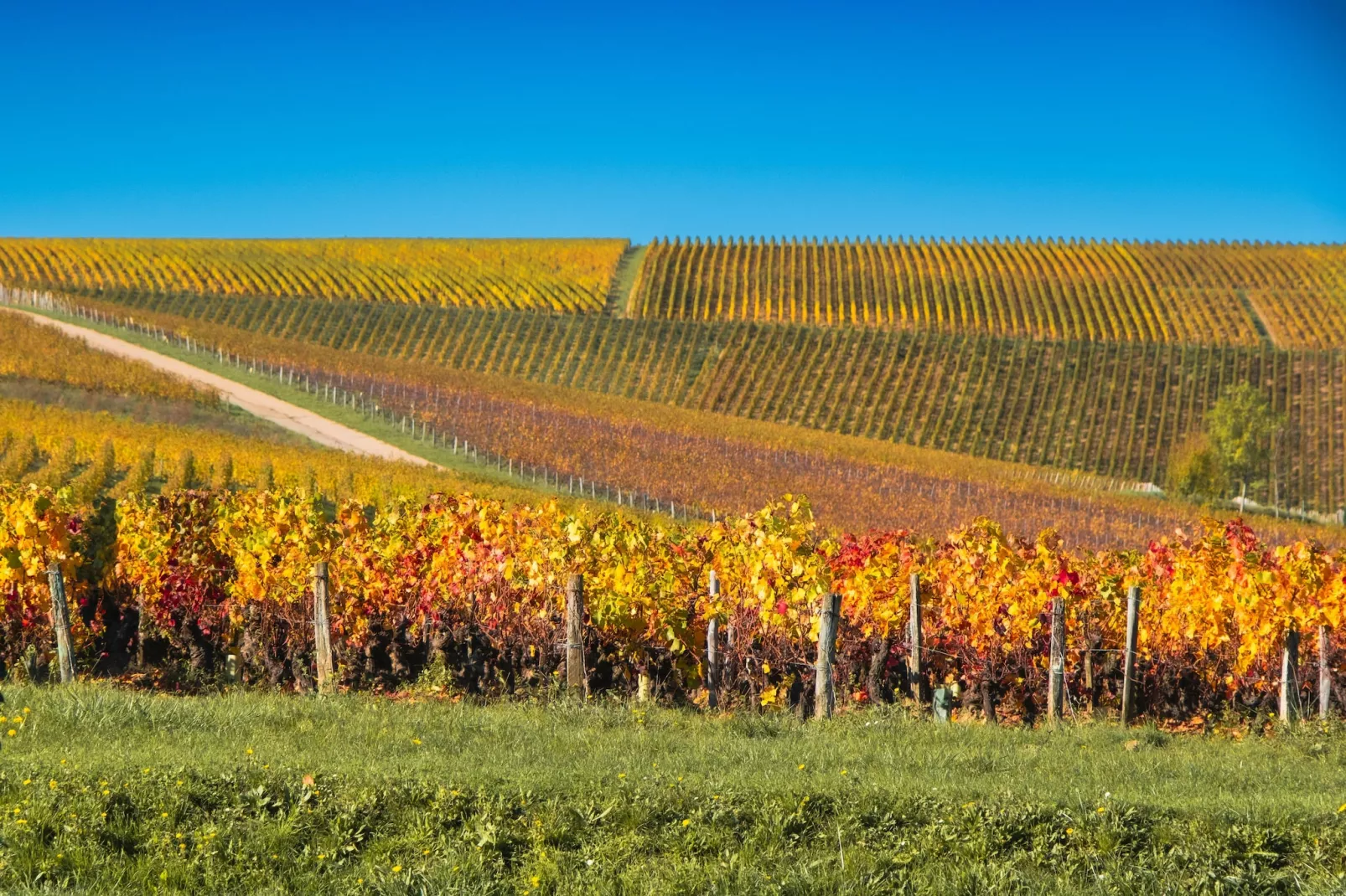 Gîte Les Charmes-Gebieden zomer 1km