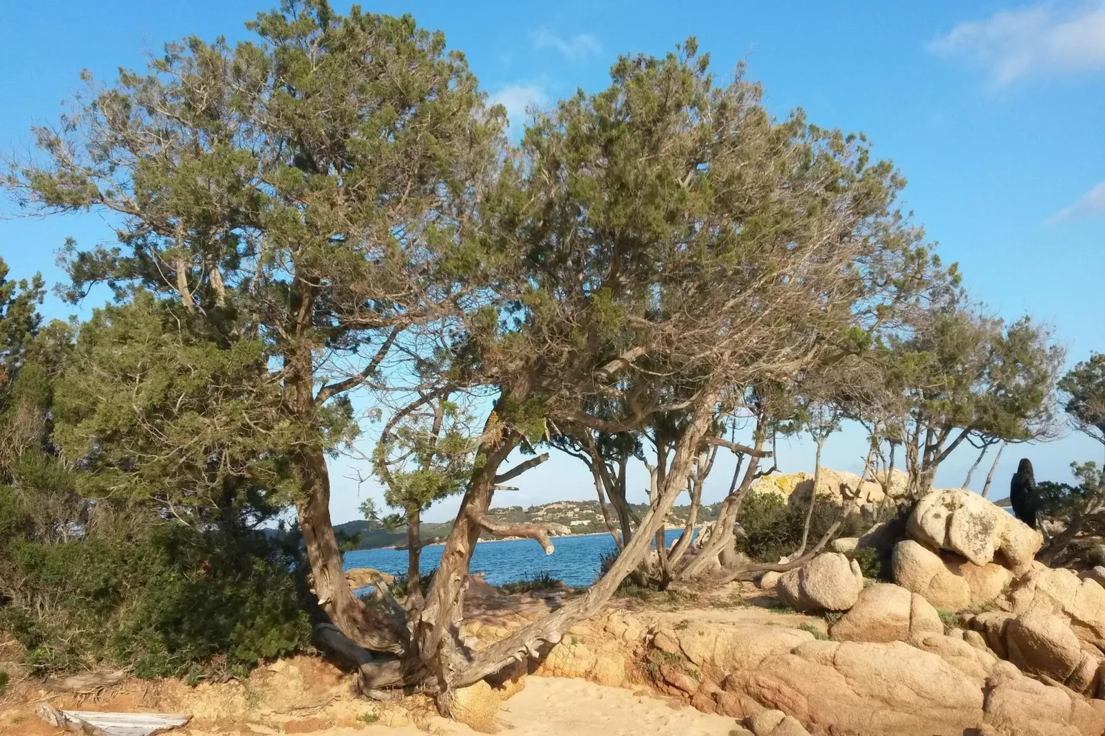 Apartments Cannigione - Type Bilocale Paradise - Gebieden zomer 5km