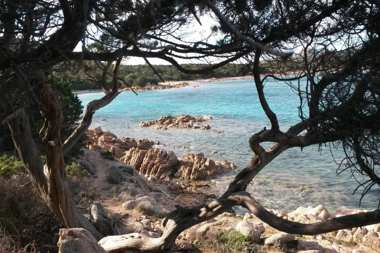 Apartments Cannigione - Type Bilocale Paradise - Image-tags.water view