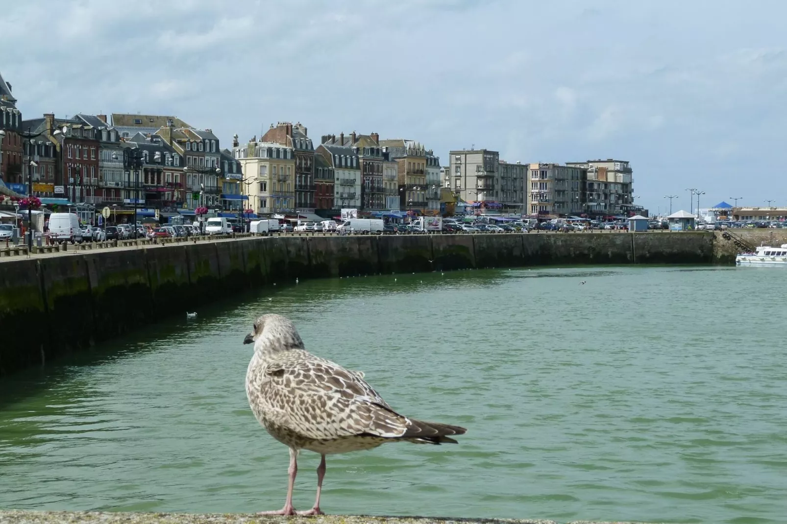 Semi-detached house Rieux - 8 pers - Gebieden zomer 5km