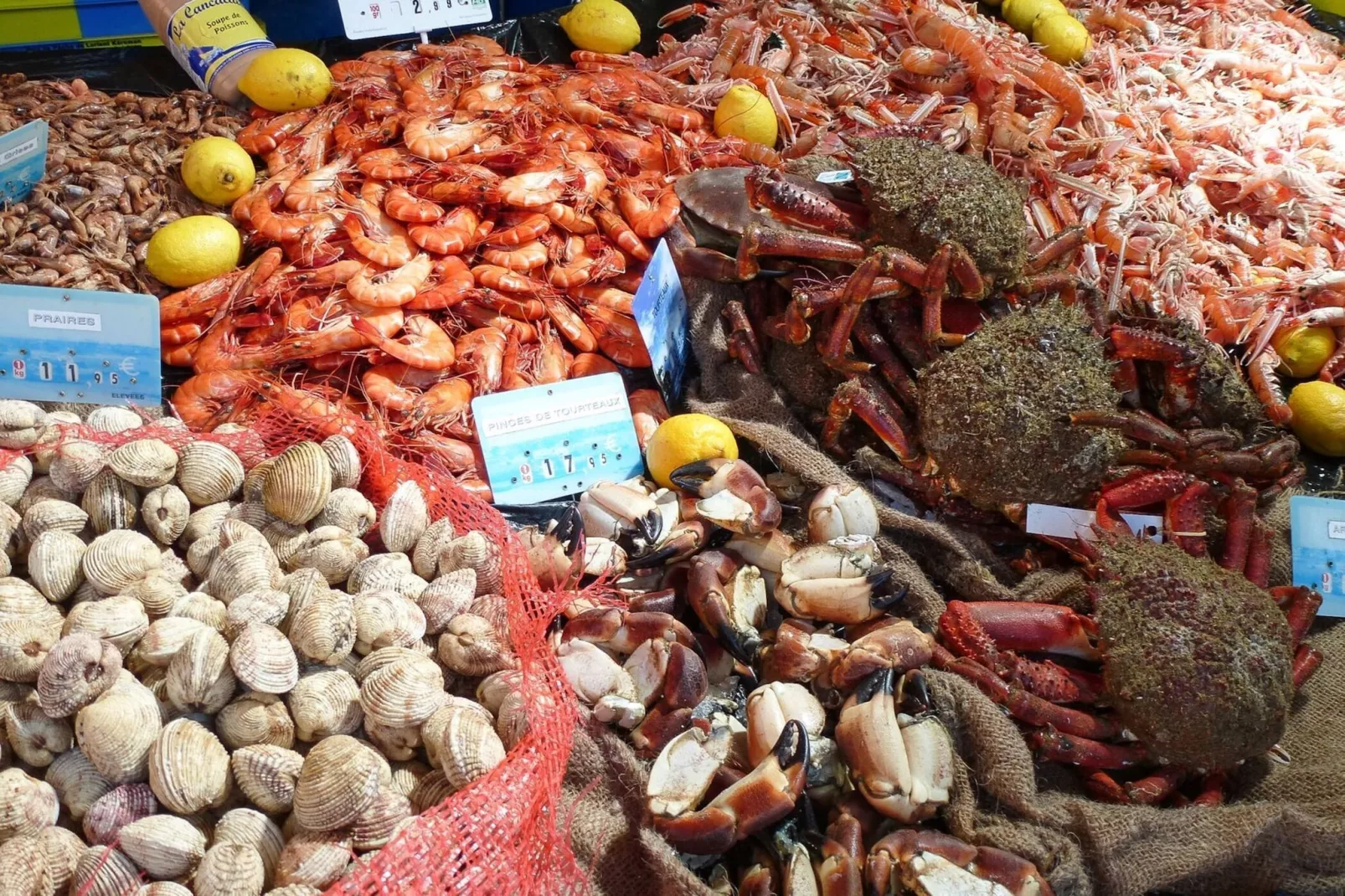 Semi-detached house Rieux - 8 pers - Gebieden zomer 5km