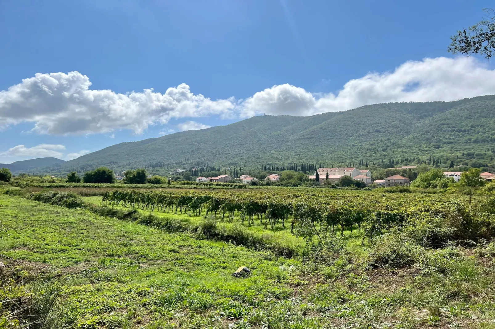 Apartment LaVilla - Two Bedroom Apartment with Balcony and Sea View (Žuti) - Uitzicht