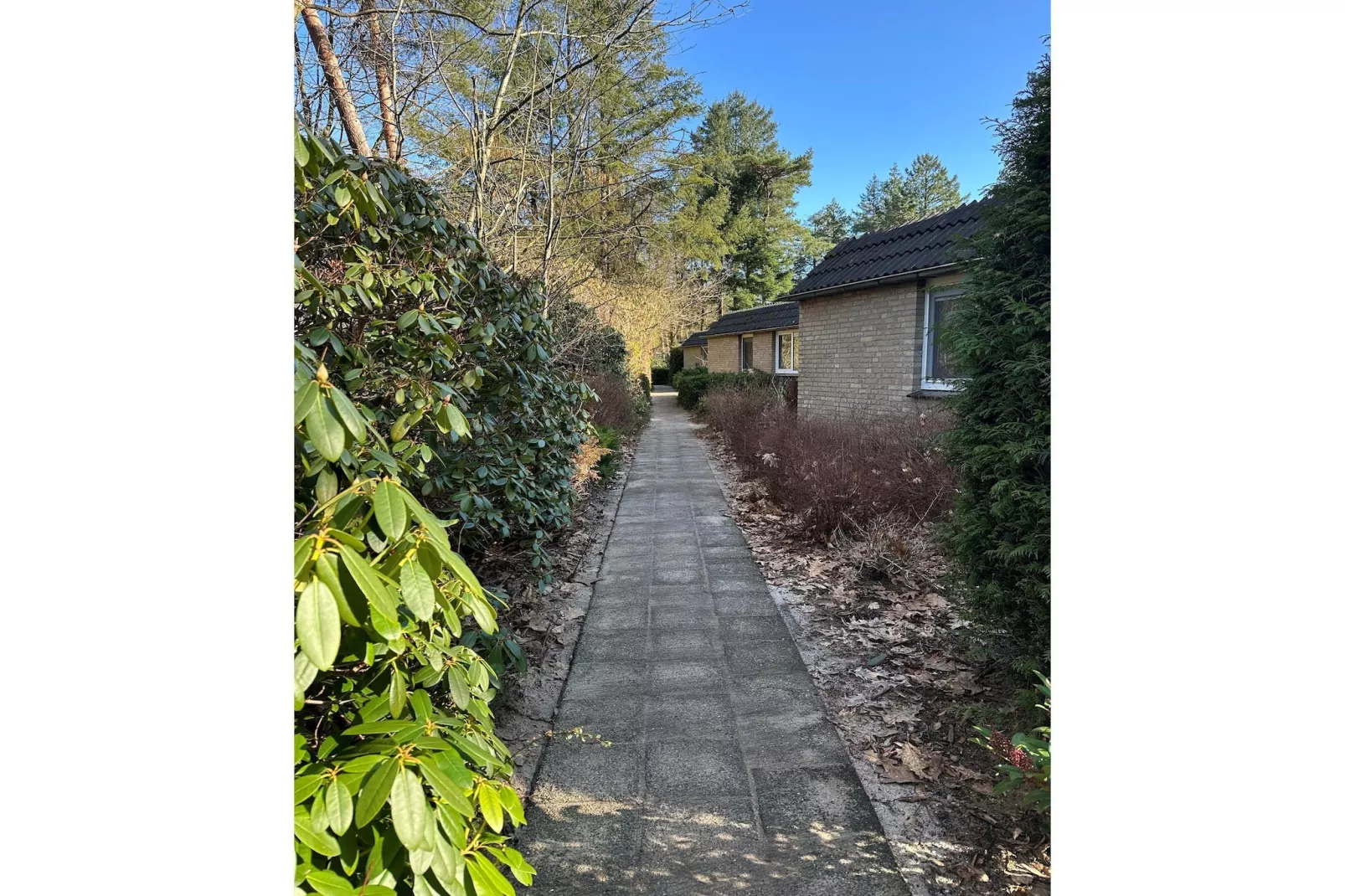 BOSRIJK-Gebieden zomer 1km