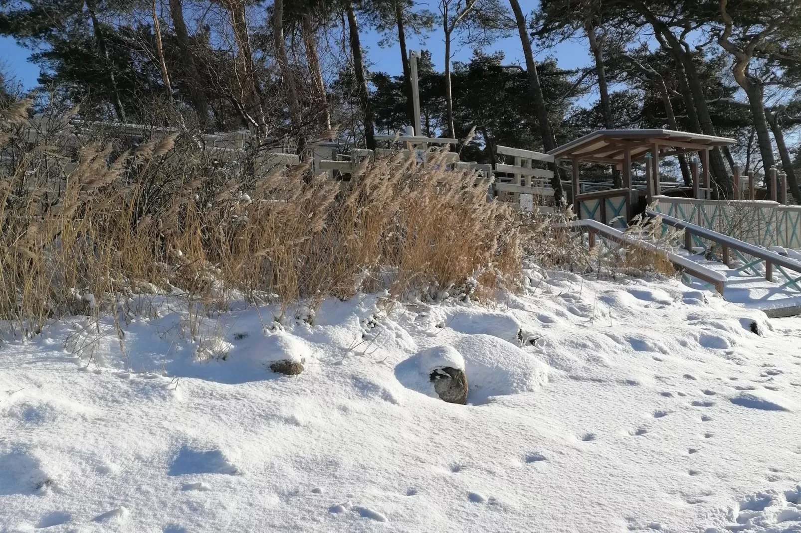 Windspiel Nr2 - Gebied winter 1km