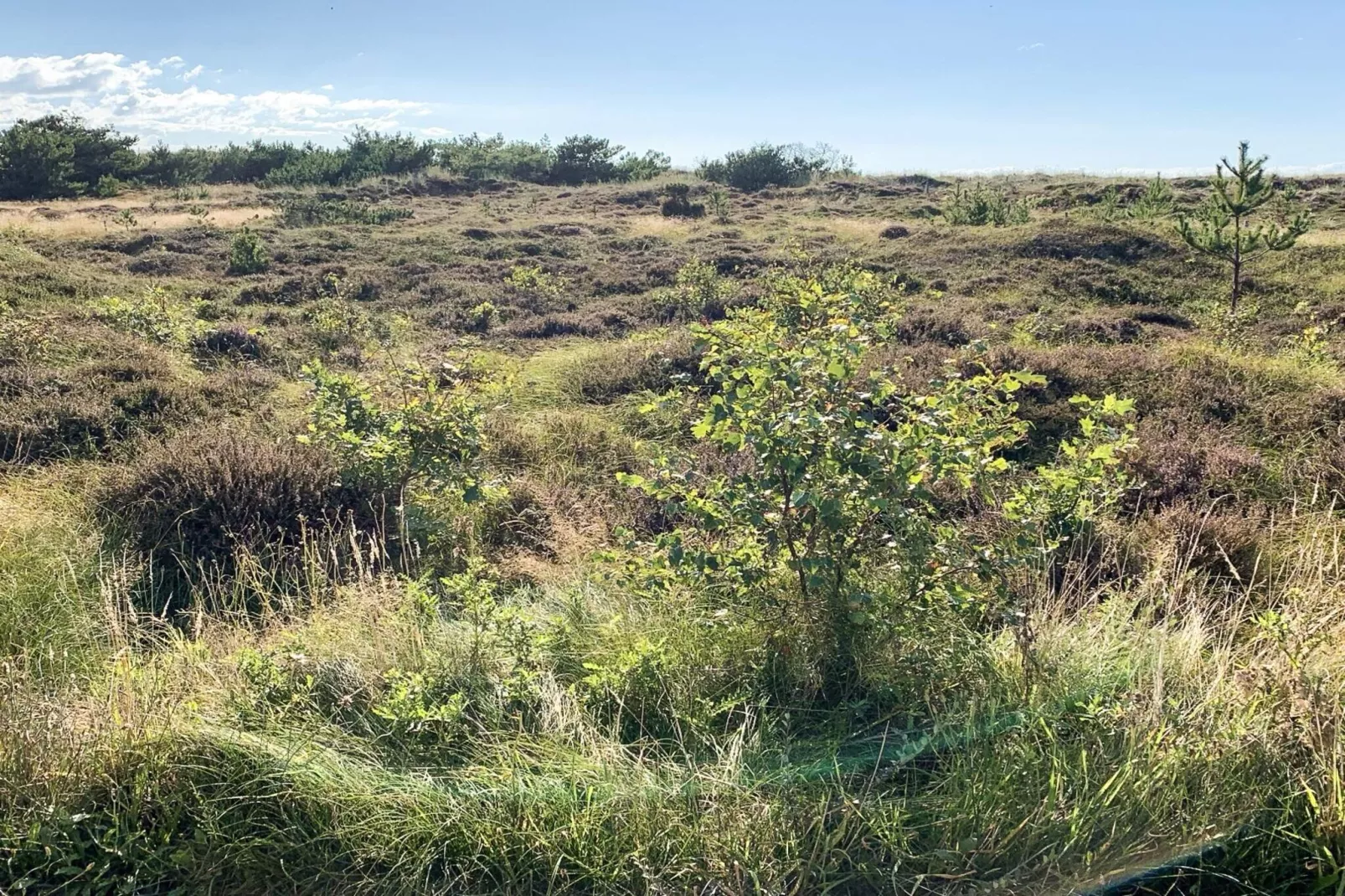 4 sterren vakantie huis in Højby