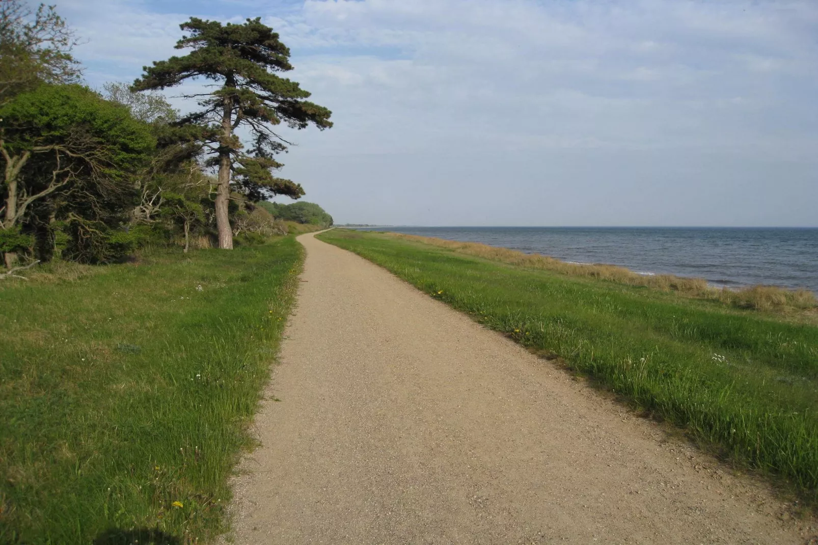 6 Personen vakantie huis in Dannemare-Niet-getagd