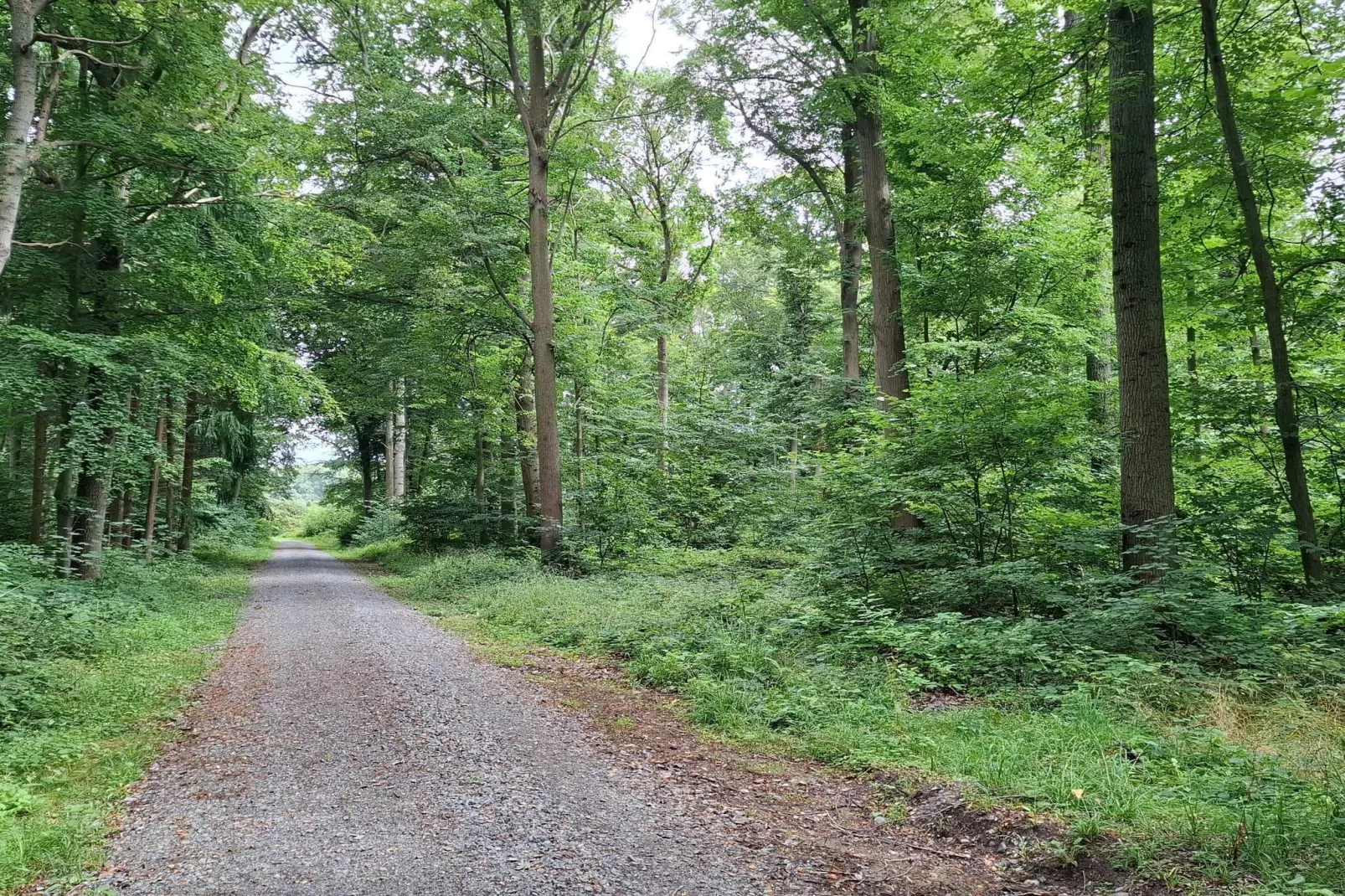 6 Personen vakantie huis in Dannemare-Niet-getagd