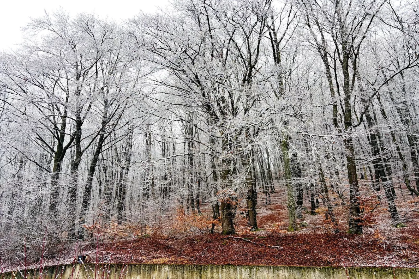 Apartment Second Floor-Exterieur winter