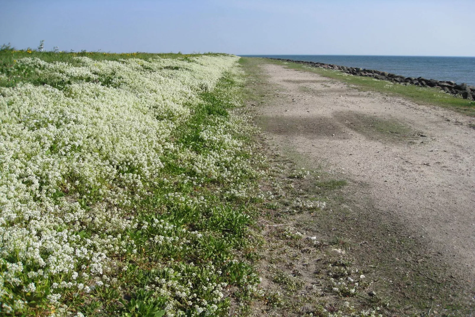 6 Personen vakantie huis in Dannemare-Niet-getagd