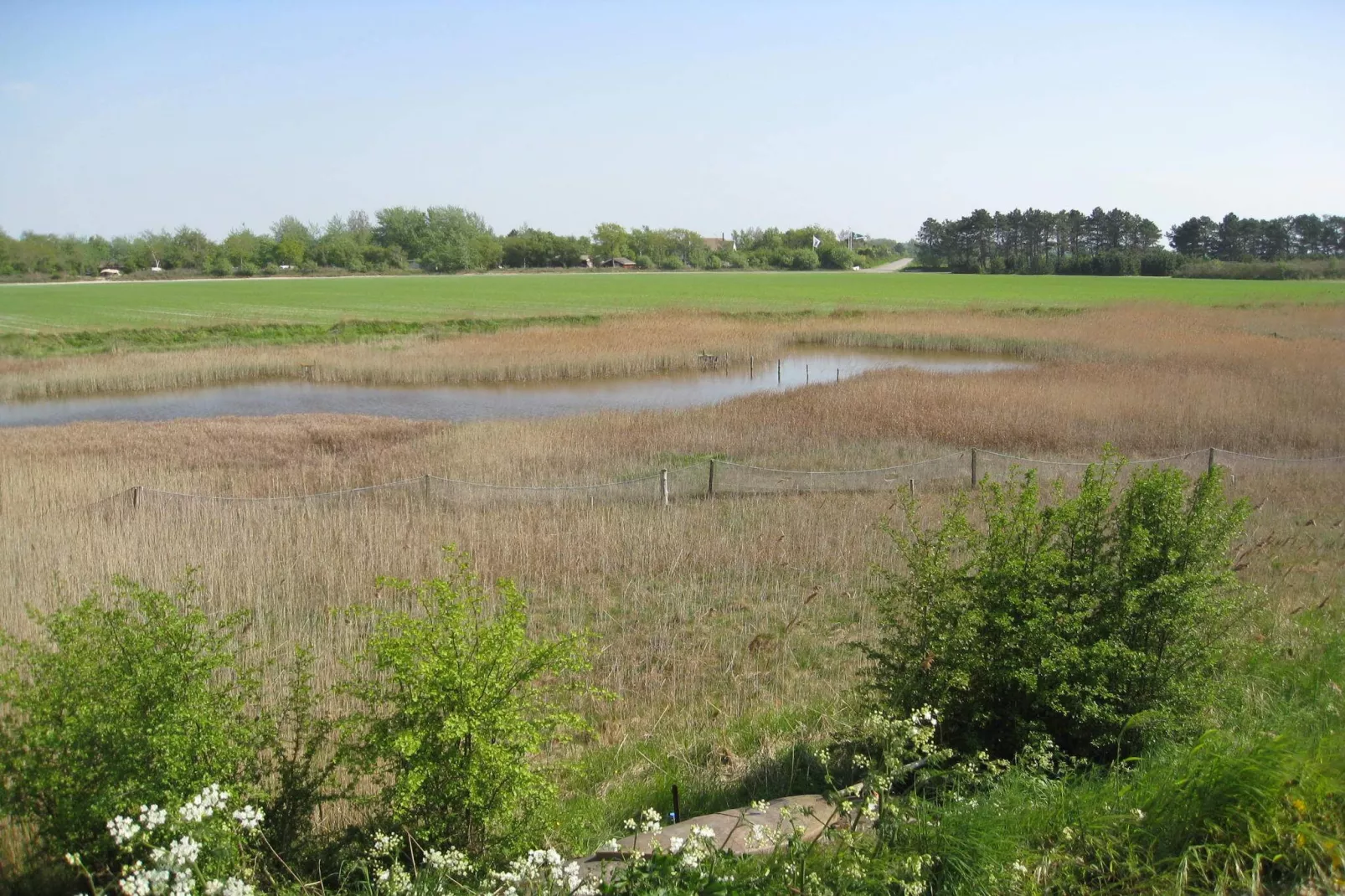 6 Personen vakantie huis in Dannemare-Waterzicht