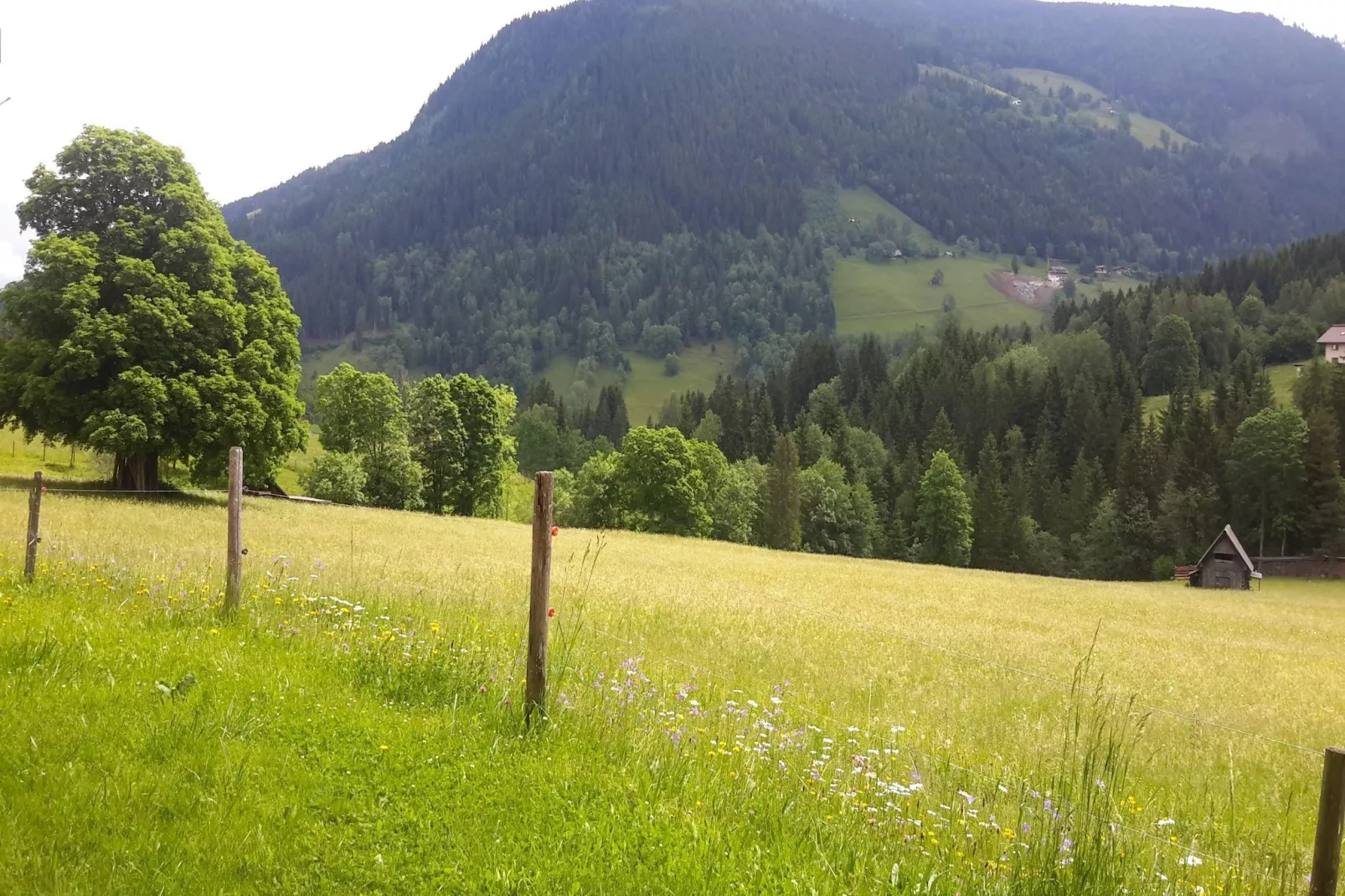 Freiberg - Gebieden zomer 1km