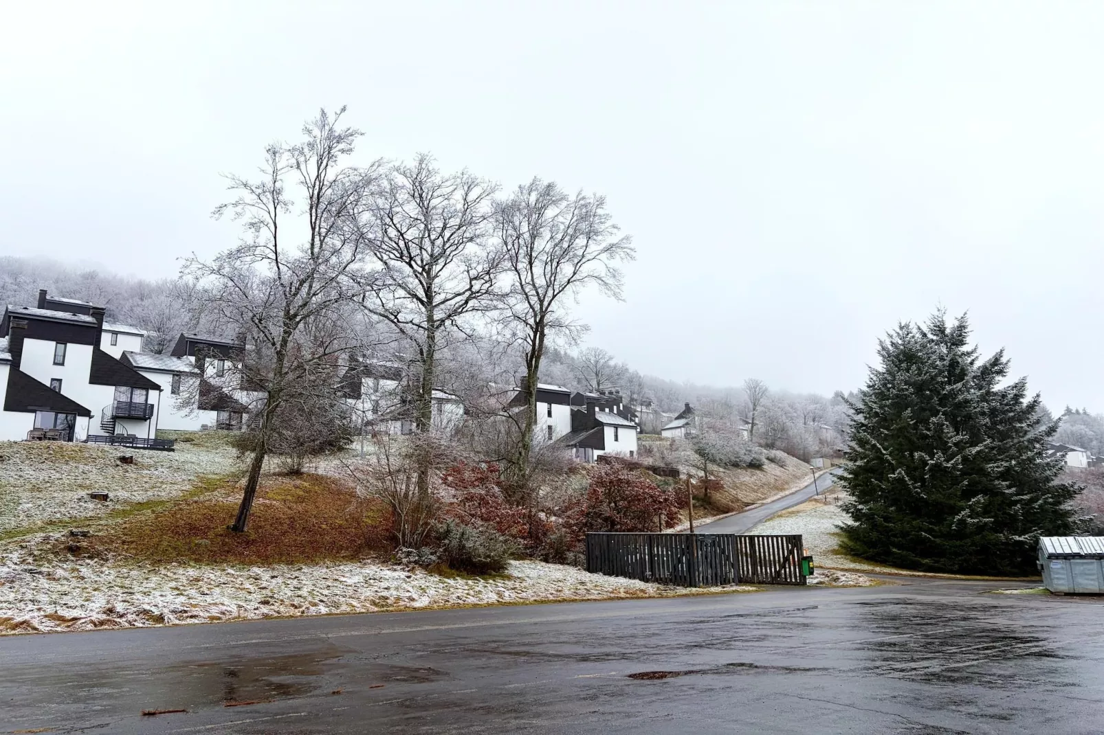 6P Standard-Gebied winter 1km