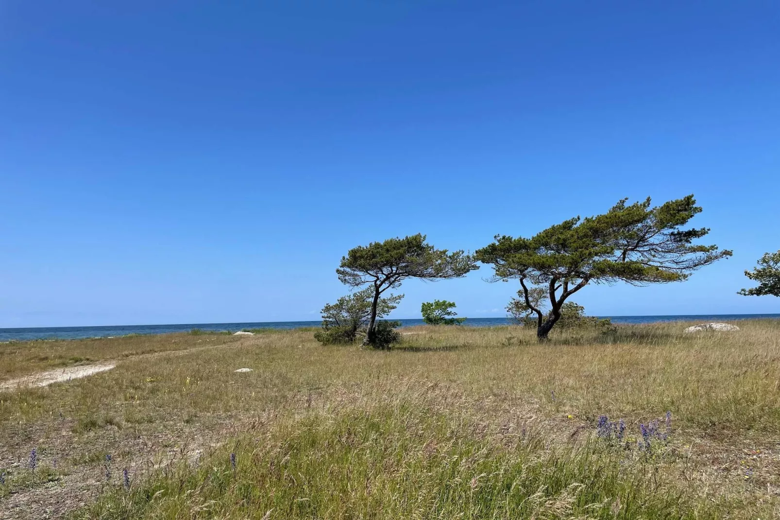 4 sterren vakantie huis in Gotlands Tofta-Niet-getagd