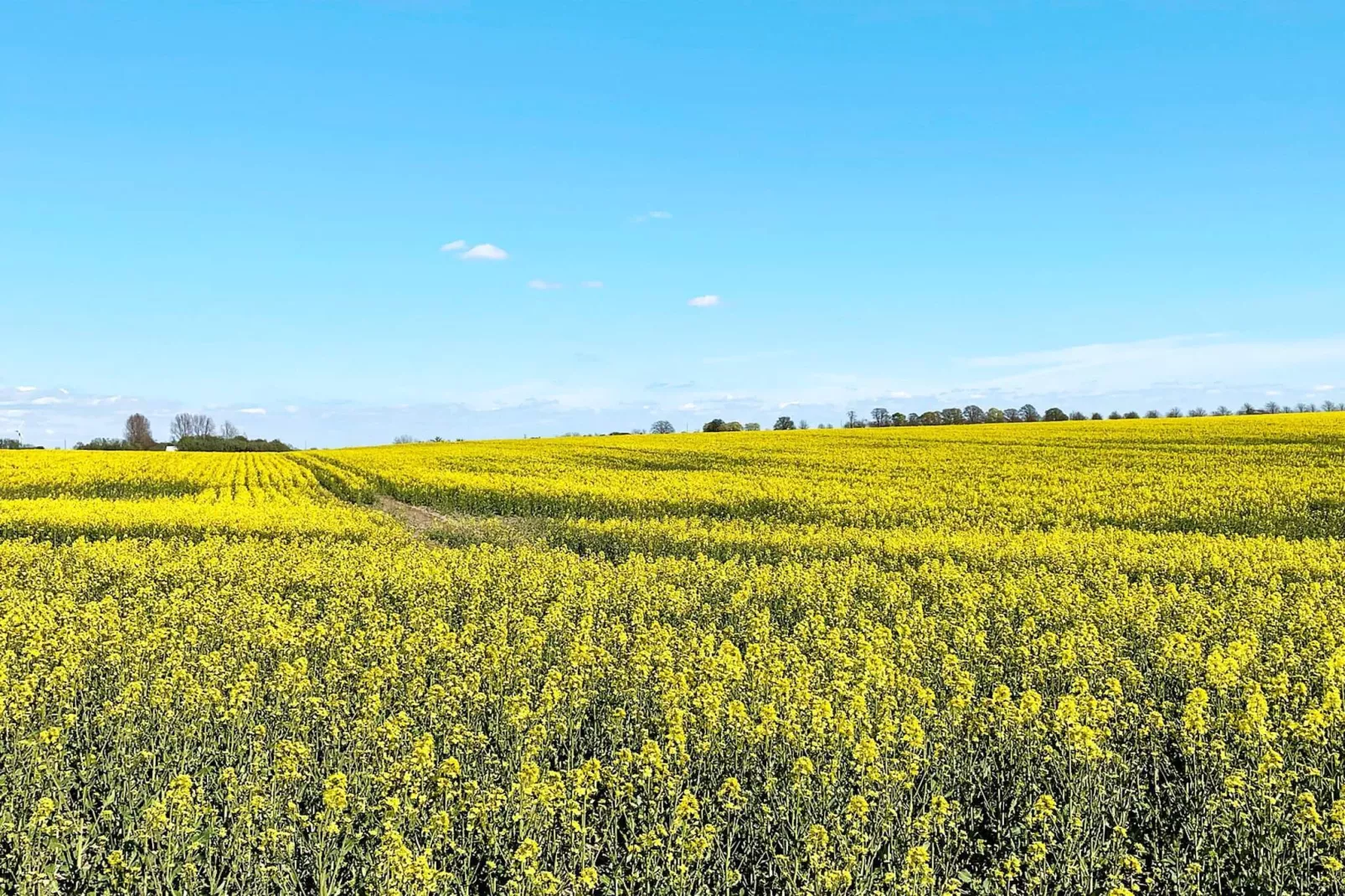 4 sterren vakantie huis in BÅSTAD-By Traum-Niet-getagd
