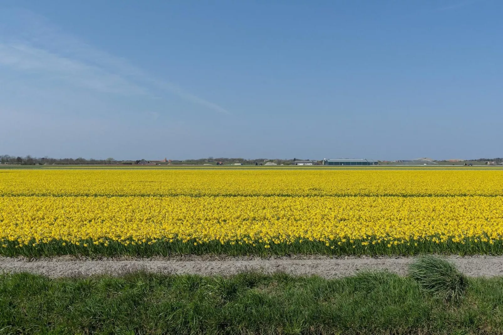 Ooghduyne 75 - Gebieden zomer 5km