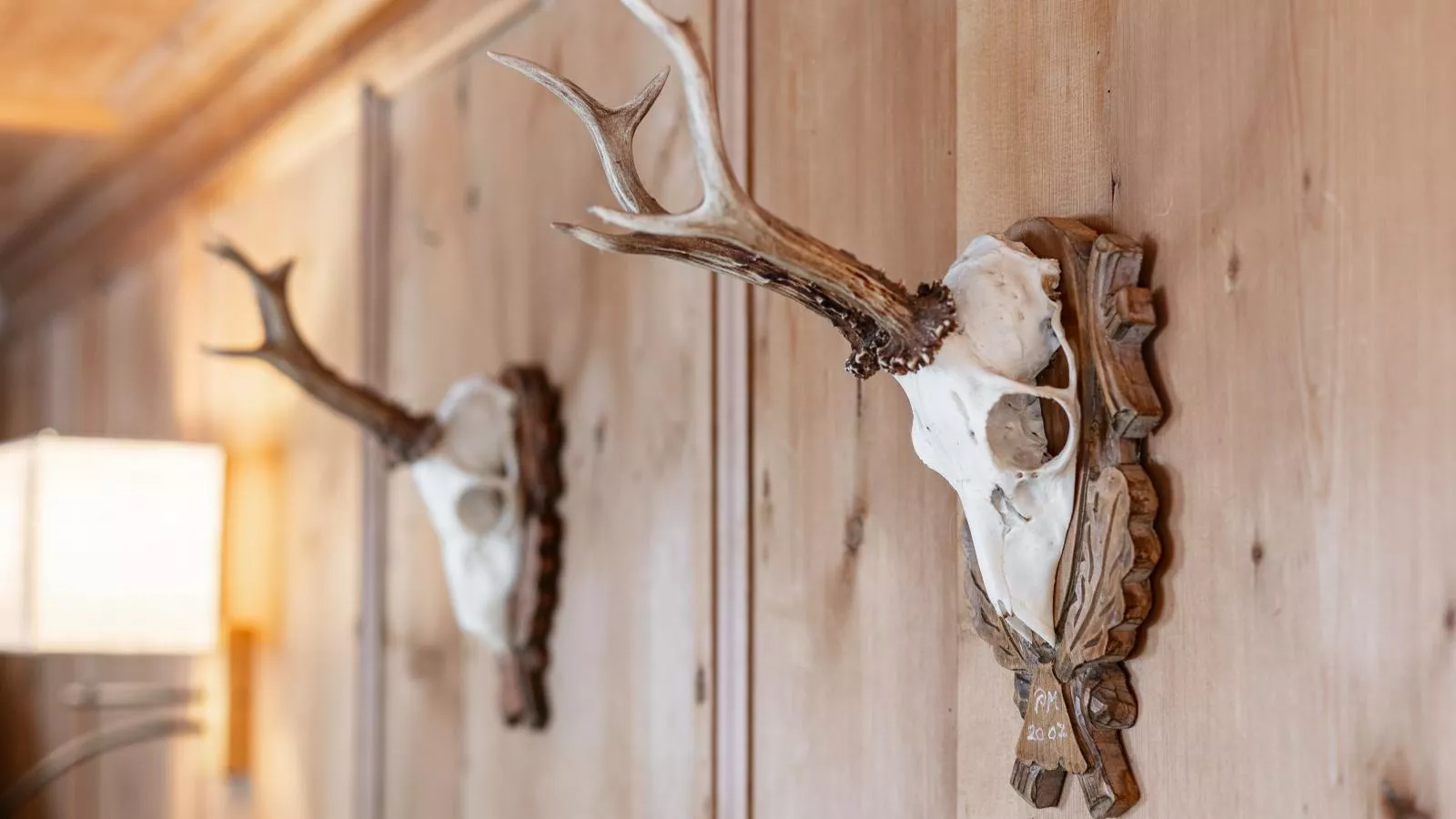 Hacklerhof Top 1 - Sfeer