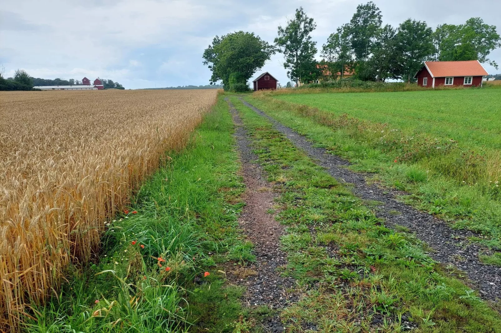 4 sterren vakantie huis in ÖDESHÖG